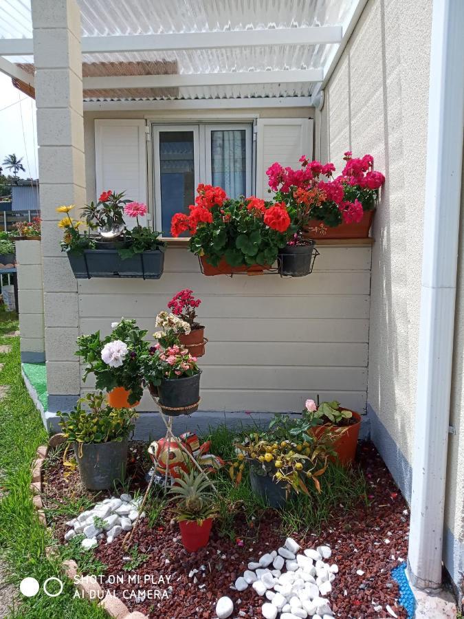 Trois Mares Charmant Studio Dans Le Sud, Ideal Pour Un Couple מראה חיצוני תמונה